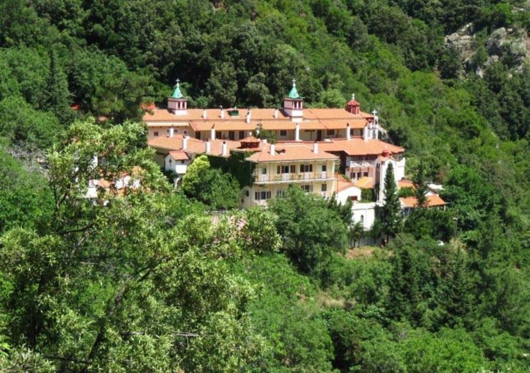 Ilias Appartements Tsaprounis Ellinika  Exterior foto